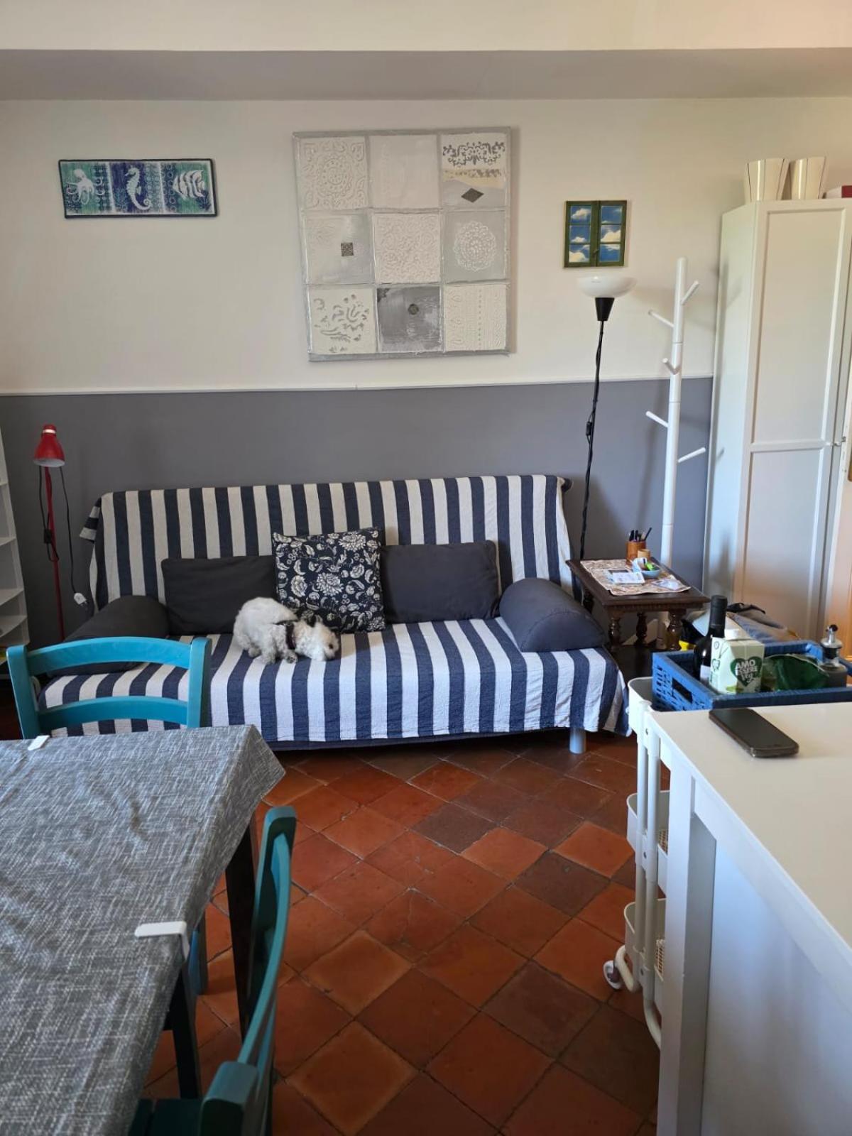 The Shell - New Interior Look But Same Old Charme 200Mt From The Sea With Garden And Parking Nearby Appartement Imperia Buitenkant foto