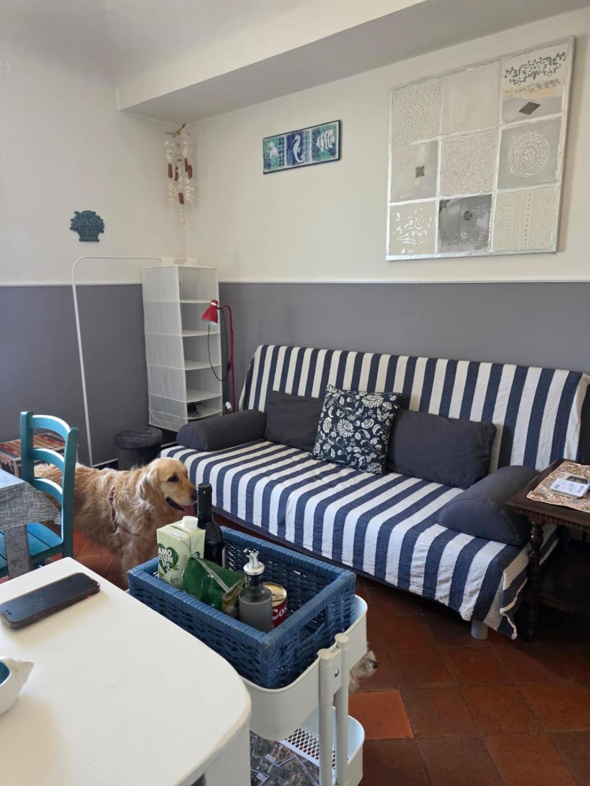 The Shell - New Interior Look But Same Old Charme 200Mt From The Sea With Garden And Parking Nearby Appartement Imperia Buitenkant foto